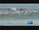 Saksi: Hiling ng ilang mambabatas, huwag padaanin sa PITC ang pagbili ng CoVid vaccine