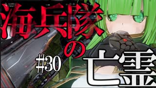 【X4：Foundations】ジアルスの宇宙海賊　３０【夜のお兄ちゃん実況】