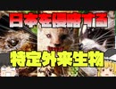 【ゆっくり解説】日本の生態系を脅かす特定外来生物たち