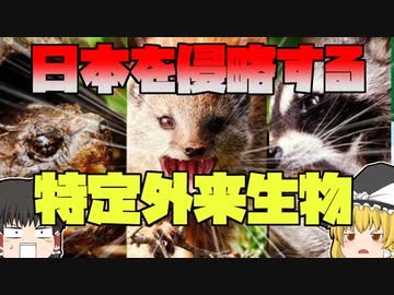 【ゆっくり解説】日本の生態系を脅かす特定外来生物たち