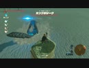 【実況】ハイラルソード　その65