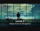 Principles of Business Level 3