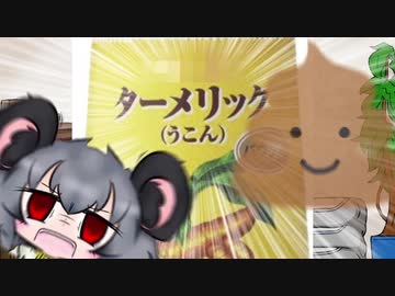 本格的なカレー作りに挑戦するNYN姉貴