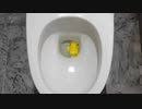ピカチュウをトイレに流してみた