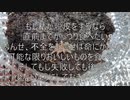 [見なくていいけど]タランチュラ飼育日記その１３[見てもいいんだ]