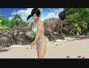 【DoaX3F】グラビアパラダイスランダム 112602
