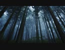 【ボカロオリジナル】Deep forest【鏡音レン】