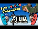 [HOBO BROS]分割ジョイコンチャレンジ！[ゼルダの伝説ブレスオブザワイルド]
