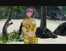 【DoaX3F】イベントパラダイス ランダム 112604