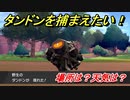 ポケモン剣盾　タンドンを捕まえる方法！オススメの場所は？天気は？ポケモン図鑑コンプへの道！　【ポケモンソード・シールド】