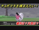 ポケモン剣盾　チョボマキを捕まえる方法！オススメの場所は？天気は？ポケモン図鑑コンプへの道！　【ポケモンソード・シールド】