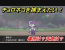 ポケモン剣盾　チョロネコを捕まえる方法！オススメの場所は？天気は？ポケモン図鑑コンプへの道！　【ポケモンソード・シールド】