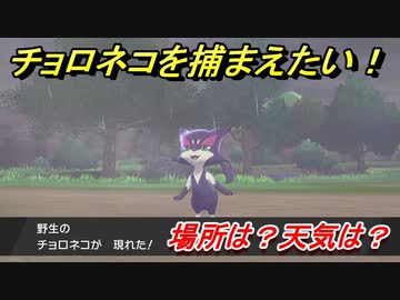 ポケモン剣盾 チョロネコを捕まえる方法 オススメの場所は 天気は ポケモン図鑑コンプへの道 ポケモンソード シールド Nicozon