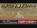 ポケモン剣盾　ツチニンを捕まえる方法！オススメの場所は？天気は？ポケモン図鑑コンプへの道！　【ポケモンソード・シールド】