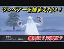 ポケモン剣盾　ツンベアーを捕まえる方法！オススメの場所は？天気は？ポケモン図鑑コンプへの道！　【ポケモンソード・シールド】