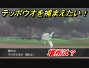 ポケモン剣盾　テッポウオを捕まえる方法！オススメの場所は？天気は？ポケモン図鑑コンプへの道！　【ポケモンソード・シールド】