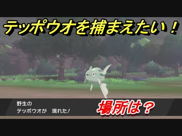 ポケモン剣盾 テッポウオを捕まえる方法 オススメの場所は 天気は ポケモン図鑑コンプへの道 ポケモンソード シールド ニコニコ動画