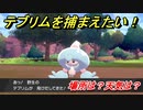 ポケモン剣盾　テブリムを捕まえる方法！オススメの場所は？天気は？ポケモン図鑑コンプへの道！　【ポケモンソード・シールド】