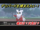 ポケモン剣盾　デリバードを捕まえる方法！オススメの場所は？天気は？ポケモン図鑑コンプへの道！　【ポケモンソード・シールド】