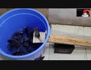 このバケツに何匹のねずみが捕獲されるでしょうか？
