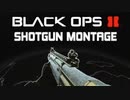 Black Ops 2: Shotgun Montage 2 - Diamond KSG, M1216, R870, S12 Clips (Shooting with the Beat)