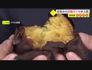 “日の丸サツマイモ”韓国で人気　日本から密輸 無断で栽培