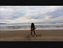 SHOGUN　「男達のメロディー」弾いてみたけども