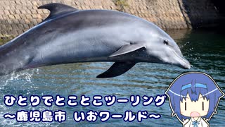 ひとりでとことこツーリング140　～鹿児島市　いおワールドかごしま水族館～