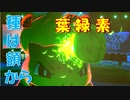 ようりょくそフシギダネの可能性　進化前縛りでランクバトル[ポケモン剣盾対戦パート66］(冠の雪原)