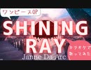 【会社員が】カラオケでShining ray／Janne Da Arc【歌ってみた】