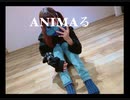 【にこ】ANIMAる 踊ってみた