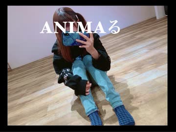 【にこ】ANIMAる 踊ってみた