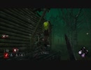 【DBD】チーターに出会った日