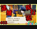 不審者発見。ストーカー容疑として逮捕します【あつまれどうぶつの森】#33