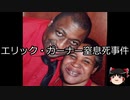 【ゆっくり朗読】ゆっくりさんと世界事件簿 その86