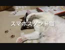 スマホスタンドに甘んじる猫