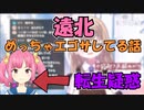 遠北からの大事なお知らせと最近遊んだ話をする矢車りね【にじさんじ切り抜き / 矢車りね / 遠北千南】