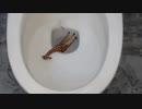 キリンのフィギュアをトイレに流してみた