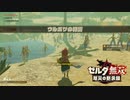 [初見] ゼルダ無双厄災の黙示録 一応実況プレイかも！ 第5回