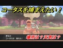 ポケモン剣盾　コータスを捕まえる方法！オススメの場所は？天気は？ポケモン図鑑コンプへの道！　【ポケモンソード・シールド】