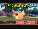 ポケモン剣盾　ゾウドウを捕まえる方法！オススメの場所は？天気は？ポケモン図鑑コンプへの道！　【ポケモンソード・シールド】