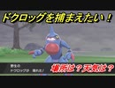 ポケモン剣盾　ドクロッグを捕まえる方法！オススメの場所は？天気は？ポケモン図鑑コンプへの道！　【ポケモンソード・シールド】
