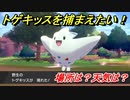 ポケモン剣盾　トゲキッスを捕まえる方法！オススメの場所は？天気は？ポケモン図鑑コンプへの道！　【ポケモンソード・シールド】