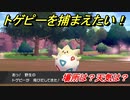 ポケモン剣盾　トゲピーを捕まえる方法！オススメの場所は？天気は？ポケモン図鑑コンプへの道！　【ポケモンソード・シールド】