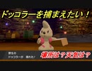 ポケモン剣盾　ドッコラーを捕まえる方法！オススメの場所は？天気は？ポケモン図鑑コンプへの道！　【ポケモンソード・シールド】