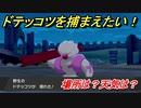 ポケモン剣盾　ドテッコツを捕まえる方法！オススメの場所は？天気は？ポケモン図鑑コンプへの道！　【ポケモンソード・シールド】