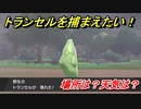 ポケモン剣盾　トランセルを捕まえる方法！オススメの場所は？天気は？ポケモン図鑑コンプへの道！　【ポケモンソード・シールド】