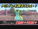 ポケモン剣盾　トリトドンを捕まえる方法！オススメの場所は？天気は？ポケモン図鑑コンプへの道！　【ポケモンソード・シールド】
