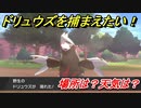 ポケモン剣盾　ドリュウズを捕まえる方法！オススメの場所は？天気は？ポケモン図鑑コンプへの道！　【ポケモンソード・シールド】