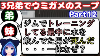 【VOICEROID実況】3兄弟でウミガメのスープ【Part12】【ウミガメのスープ】(みずと)